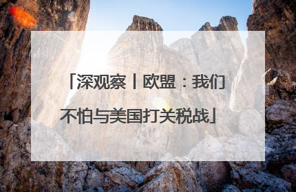 深观察丨欧盟：我们不怕与美国打关税战