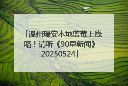 温州瑞安本地蓝莓上线咯！请听《90早新闻》20250524