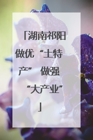 湖南祁阳做优“土特产” 做强“大产业”