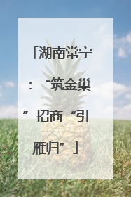 湖南常宁：“筑金巢”招商“引雁归”