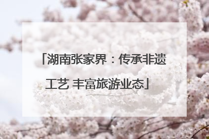 湖南张家界：传承非遗工艺 丰富旅游业态