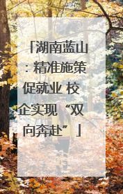 湖南蓝山：精准施策促就业 校企实现“双向奔赴”