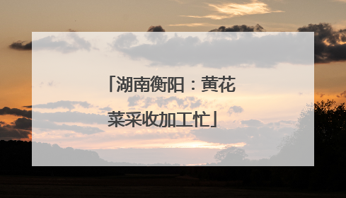 湖南衡阳：黄花菜采收加工忙