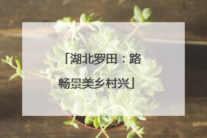 湖北罗田：路畅景美乡村兴