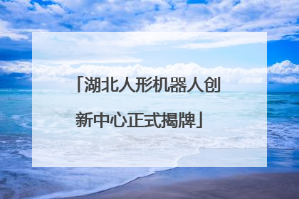 湖北人形机器人创新中心正式揭牌