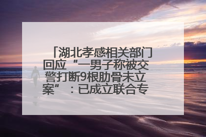 湖北孝感相关部门回应“一男子称被交警打断9根肋骨未立案”：已成立联合专班开展工作