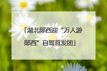 湖北郧西迎“万人游郧西”自驾首发团