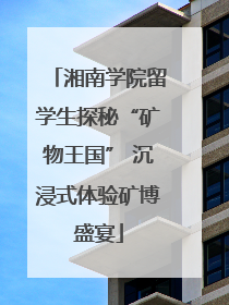 湘南学院留学生探秘“矿物王国” 沉浸式体验矿博盛宴
