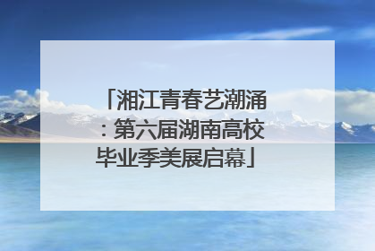 湘江青春艺潮涌：第六届湖南高校毕业季美展启幕