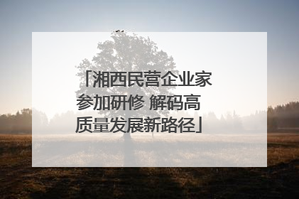 湘西民营企业家参加研修 解码高质量发展新路径