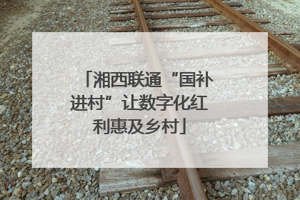 湘西联通“国补进村”让数字化红利惠及乡村