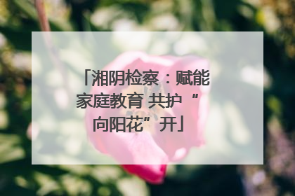 湘阴检察：赋能家庭教育 共护“向阳花”开
