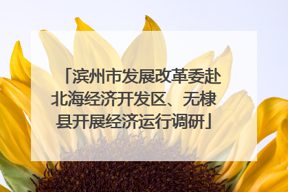滨州市发展改革委赴北海经济开发区、无棣县开展经济运行调研