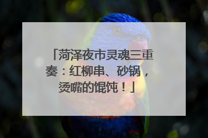 菏泽夜市灵魂三重奏：红柳串、砂锅，烫嘴的馄饨！