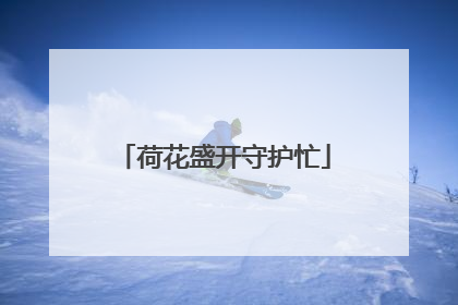 荷花盛开守护忙