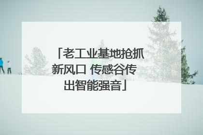 老工业基地抢抓新风口 传感谷传出智能强音