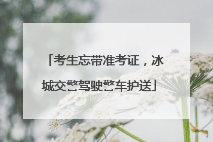 考生忘带准考证，冰城交警驾驶警车护送