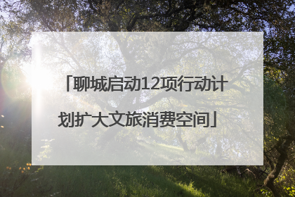 聊城启动12项行动计划扩大文旅消费空间