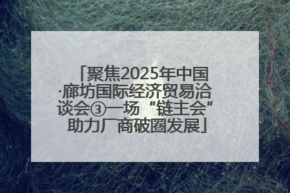 聚焦2025年中国·廊坊国际经济贸易洽谈会③一场“链主会” 助力厂商破圈发展