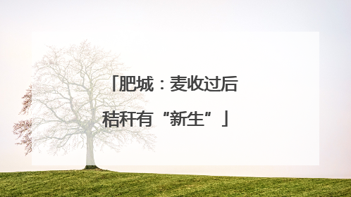 肥城：麦收过后秸秆有“新生”