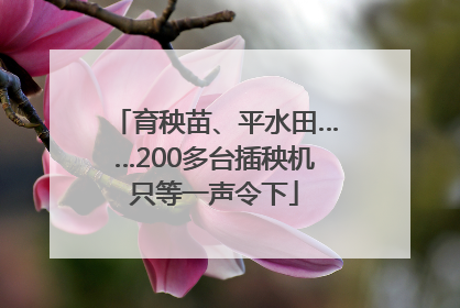 育秧苗、平水田……200多台插秧机只等一声令下
