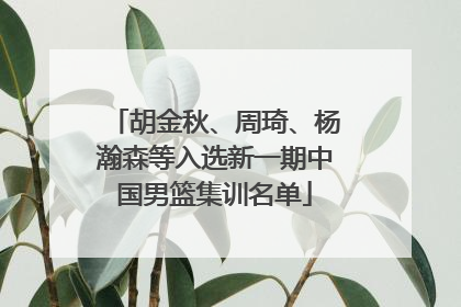 胡金秋、周琦、杨瀚森等入选新一期中国男篮集训名单