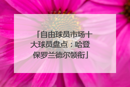 自由球员市场十大球员盘点：哈登保罗兰德尔领衔