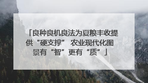 良种良机良法为夏粮丰收提供“硬支撑” 农业现代化图景有“智”更有“质”