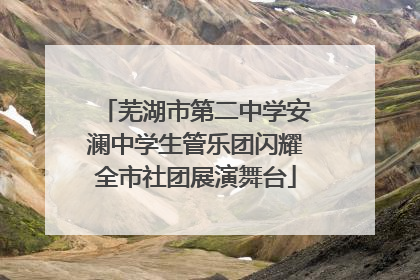 芜湖市第二中学安澜中学生管乐团闪耀全市社团展演舞台