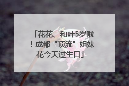 花花、和叶5岁啦！成都“顶流”姐妹花今天过生日