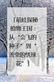 萌娃探秘植物王国：从“会飞的种子”到“善变的绣球花”