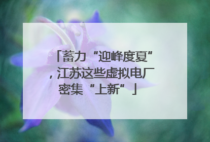 蓄力“迎峰度夏”，江苏这些虚拟电厂密集“上新”