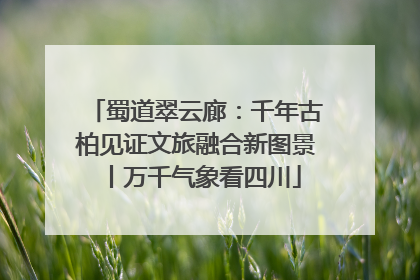 蜀道翠云廊：千年古柏见证文旅融合新图景丨万千气象看四川