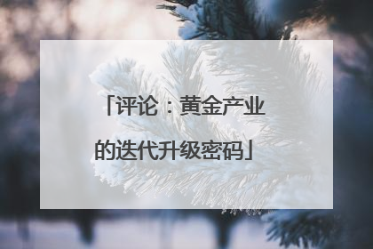 评论：黄金产业的迭代升级密码