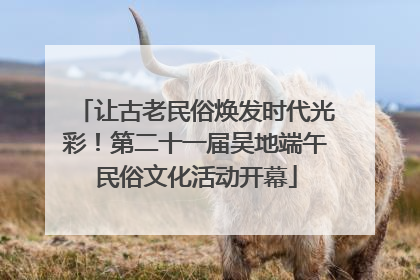 让古老民俗焕发时代光彩！第二十一届吴地端午民俗文化活动开幕