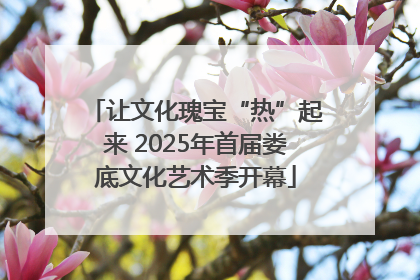 让文化瑰宝“热”起来 2025年首届娄底文化艺术季开幕