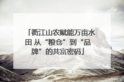 衢江山农赋能万亩水田 从“粮仓”到“品牌”的共富密码