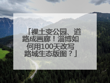 裸土变公园、道路成画廊！淄博如何用100天改写路域生态版图？