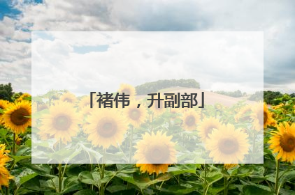 褚伟，升副部