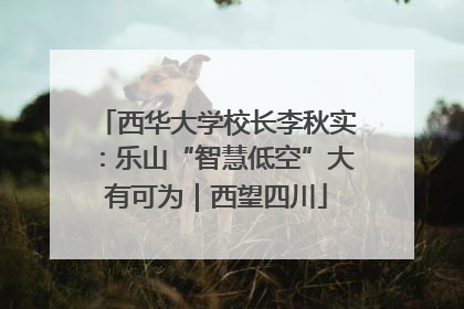西华大学校长李秋实：乐山“智慧低空”大有可为｜西望四川