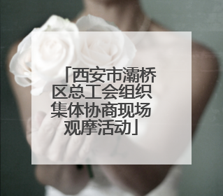 西安市灞桥区总工会组织集体协商现场观摩活动