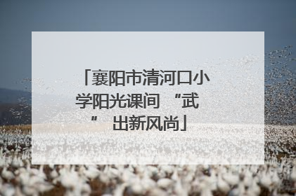 襄阳市清河口小学阳光课间 “武” 出新风尚