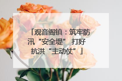 观音阁镇：筑牢防汛“安全堤” 打好抗洪“主动仗”