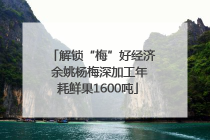 解锁“梅”好经济 余姚杨梅深加工年耗鲜果1600吨