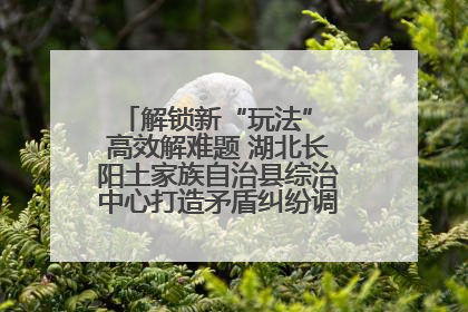 解锁新“玩法” 高效解难题 湖北长阳土家族自治县综治中心打造矛盾纠纷调处“终点站”