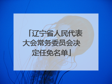 辽宁省人民代表大会常务委员会决定任免名单