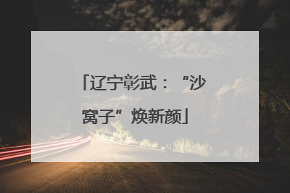 辽宁彰武：“沙窝子”焕新颜