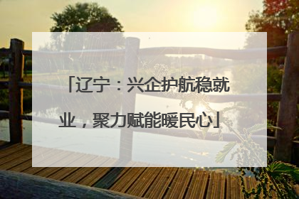 辽宁：兴企护航稳就业，聚力赋能暖民心