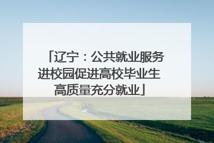 辽宁：公共就业服务进校园促进高校毕业生高质量充分就业