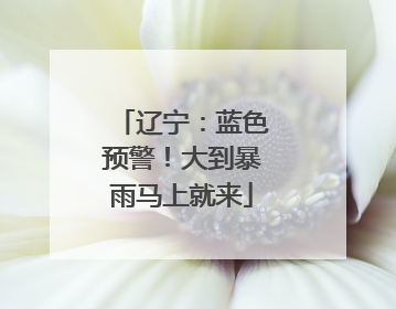 辽宁：蓝色预警！大到暴雨马上就来